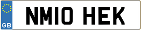 Trailer License Plate